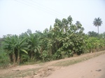 3994RIMG0298.JPG