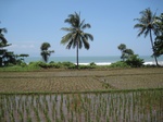 15436IMG_4312.JPG