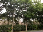 2017-09-12_05-00-11_7D40B121-D7A3-4B53-81D8-1A732B8BFA62.jpg