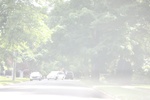2022-06-12_16-02-11_A0F9E536-68DD-4D82-B598-CACFBBB0F766.jpeg