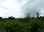 18185P1000020.JPG