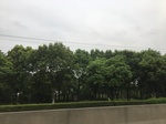 2017-09-12_10-28-31_CE4BDE80-B1FA-4D3A-B22F-E1703F21D742.jpg