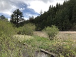 2018-05-27_14-19-59_71CBF92C-26B4-497B-B1A9-8D433A567D2B.jpg