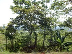 5745100_1333.JPG