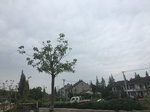 2017-09-10_06-45-08_EE4824B0-3AC1-4596-BD6D-FE470314875B.jpg