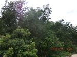 2012-09-26_20-48-06_CIMG1004.JPG