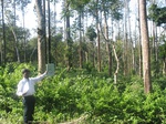 7887gt08b-coffee-with-Y&M-sec-forest.jpg