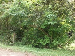 5580100_0980.JPG