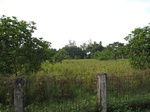16017IMG_4747.JPG