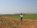 7772gt024b-cropland-rainfed-mixed-crops.jpg