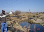 10988gt-198-wetland-perrinial-river-02.jpg