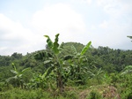 15841IMG_4381.JPG