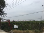 2017-09-12_13-35-50_9FF6C886-75C9-40F7-BF66-E59C97900596.jpg