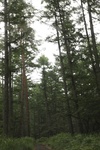 2018-04-14_14-44-47_2017-06-26 20.29.25.jpg