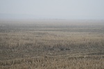 4537IMG_8952.JPG