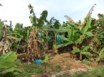 2012-09-26_20-50-08_CIMG1035.JPG