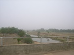 3920RIMG0224.JPG
