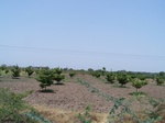 510122042008(21).JPG