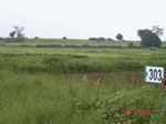 74020303c-rainfed-agriculture-rice.jpg