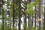 2018-04-14_14-26-28_2017-06-12 08.23.31.jpg