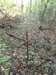2012-09-24_10-40-17_DSC03133.JPG