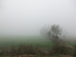 40304CIMG9047.JPG