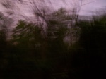 17372100_2058.JPG