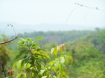1726020042008(45).JPG