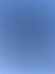 2020-10-02_09-21-40_87B83F81-2611-483B-8D7C-31D05B93015D.jpg