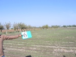 11430006-irrigated-wheat-sw-1b.jpg
