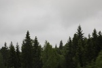 2018-04-14_14-18-42_2017-06-12 05.49.39.jpg