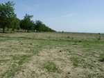 19241P1010087.JPG