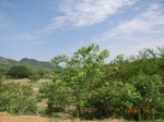 8906nigeria 118.jpg