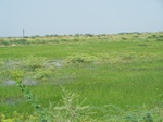 523126042008(31).JPG