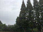 2017-09-10_20-38-58_0FE55890-27DF-4F92-B26D-27791967988C.jpg