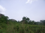 3740RIMG0043.JPG