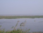 4664RIMG0092-1.JPG