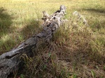 2012-10-04_13-59-46_CO-JF-157_0651.jpg