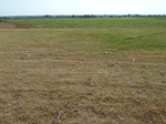 39203FTCB20110812E.JPG