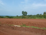 19696P1010545.JPG