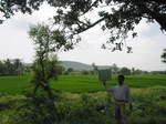 7917gt113b_cropland_rice.jpg