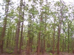 17455100_2144.JPG