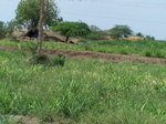 512322042008(63).JPG