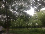 2017-09-12_12-58-27_10A8AF41-DD49-4331-916C-33A0C2A10A6B.jpg