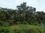 20084P1010935.JPG