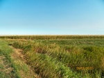 2012-09-03_11-15-59_Field pics 9-3-2012_10.jpg