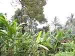13890IMG_4170.JPG