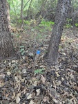 2012-09-24_10-40-22_DSC03050.JPG
