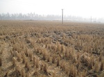 8434IMG_0259.JPG