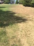 2020-08-27_11-32-35_2020-8-27-11-29-20.jpg